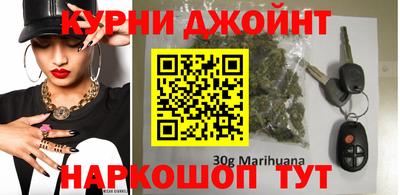 индика Обь