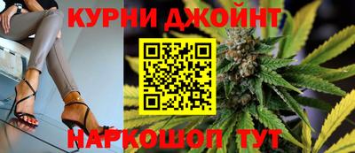 индика Обь