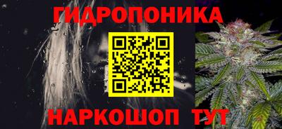 индика Обь